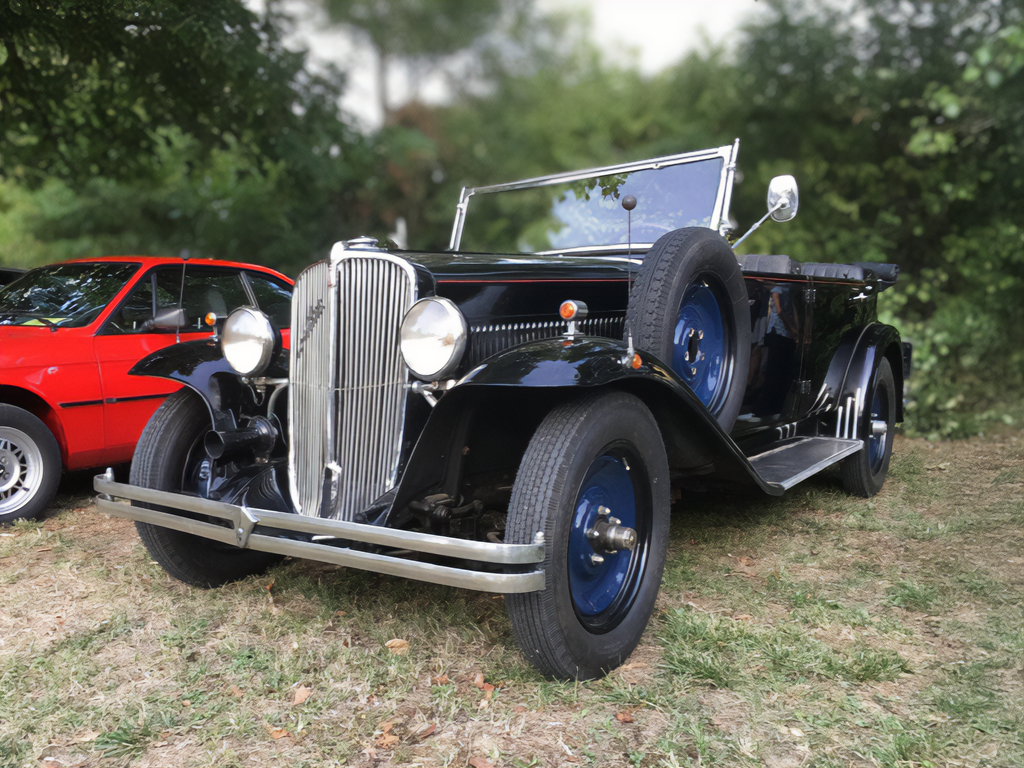 Faita ardita Articolo